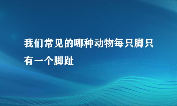 我们常见的哪种动物每只脚只有一个脚趾