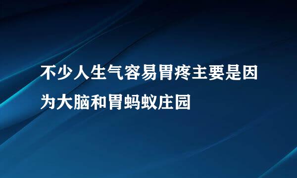 不少人生气容易胃疼主要是因为大脑和胃蚂蚁庄园