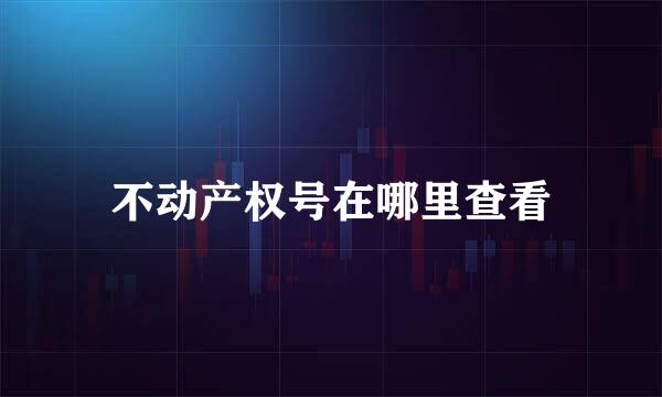 不动产权号在哪里查看