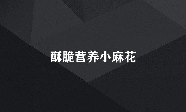 酥脆营养小麻花