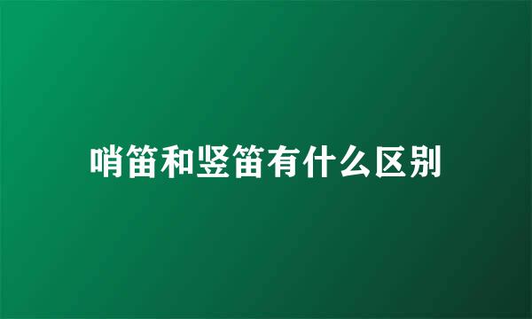 哨笛和竖笛有什么区别