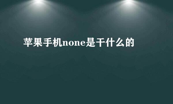 苹果手机none是干什么的