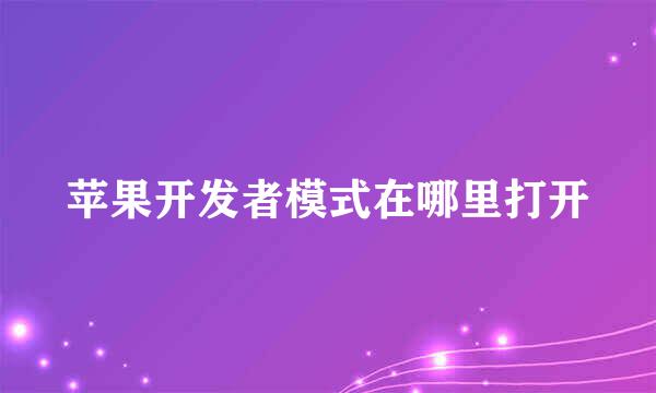 苹果开发者模式在哪里打开