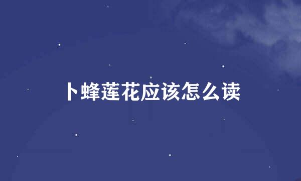 卜蜂莲花应该怎么读
