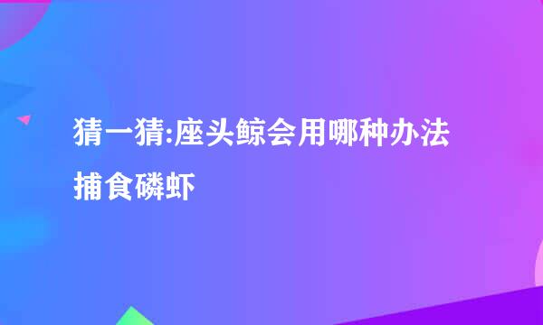 猜一猜:座头鲸会用哪种办法捕食磷虾