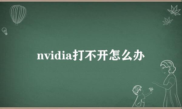 nvidia打不开怎么办