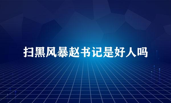 扫黑风暴赵书记是好人吗