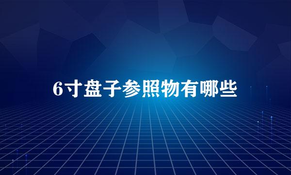 6寸盘子参照物有哪些