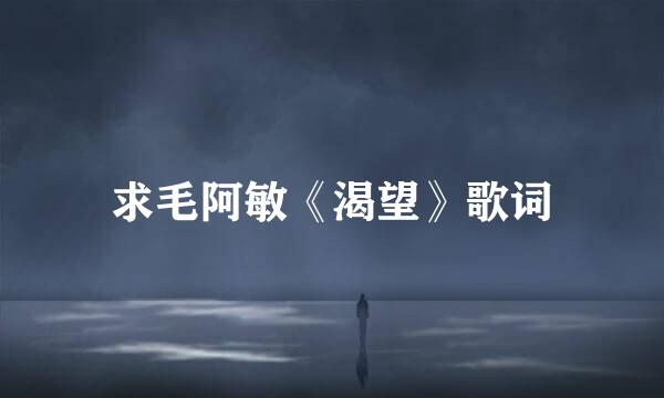 求毛阿敏《渴望》歌词