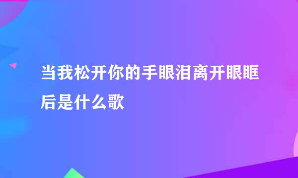 当我松开你的手眼泪离开眼眶后是什么歌