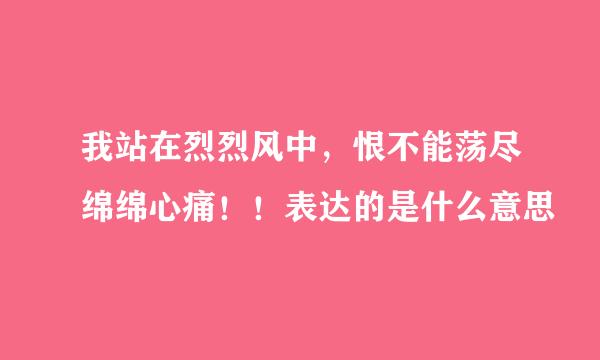 我站在烈烈风中，恨不能荡尽绵绵心痛！！表达的是什么意思