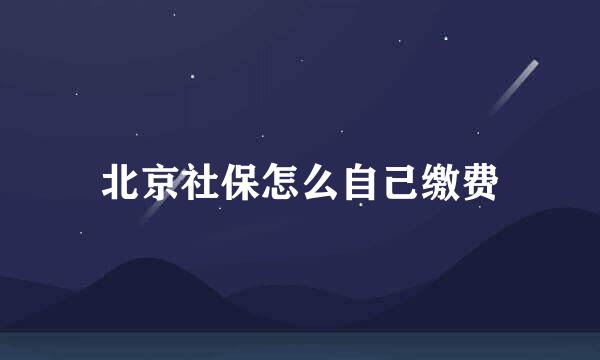 北京社保怎么自己缴费