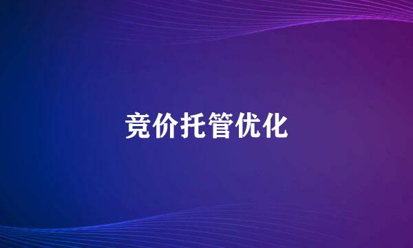 竞价托管优化