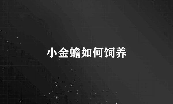小金蟾如何饲养