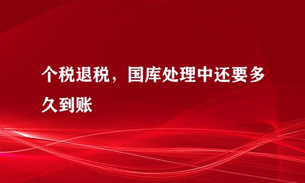 个税退税，国库处理中还要多久到账