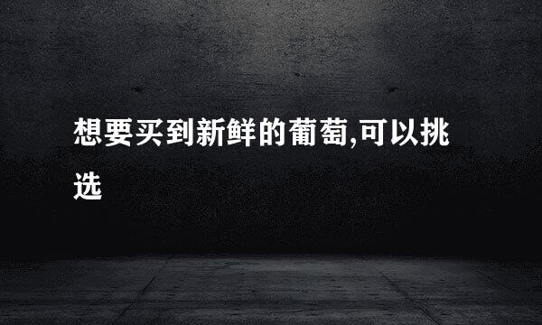 想要买到新鲜的葡萄,可以挑选