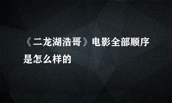 《二龙湖浩哥》电影全部顺序是怎么样的