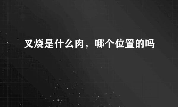 叉烧是什么肉，哪个位置的吗