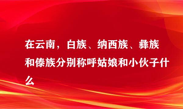 在云南，白族、纳西族、彝族和傣族分别称呼姑娘和小伙子什么