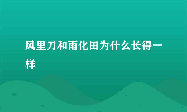 风里刀和雨化田为什么长得一样