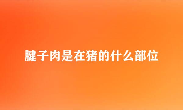 腱子肉是在猪的什么部位