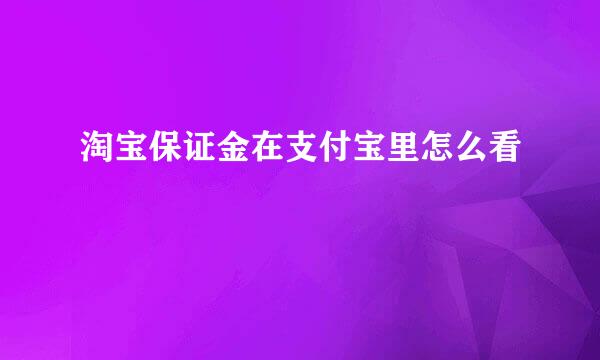 淘宝保证金在支付宝里怎么看