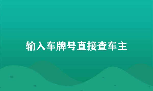 输入车牌号直接查车主