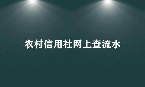 农村信用社网上查流水