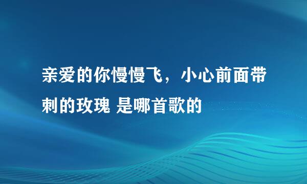亲爱的你慢慢飞，小心前面带刺的玫瑰 是哪首歌的