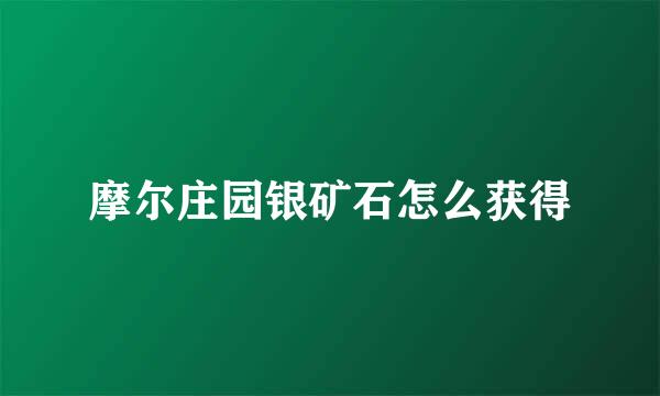 摩尔庄园银矿石怎么获得
