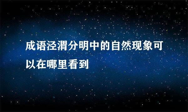 成语泾渭分明中的自然现象可以在哪里看到