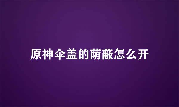 原神伞盖的荫蔽怎么开