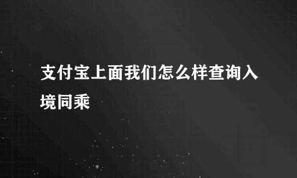 支付宝上面我们怎么样查询入境同乘