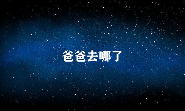 爸爸去哪了