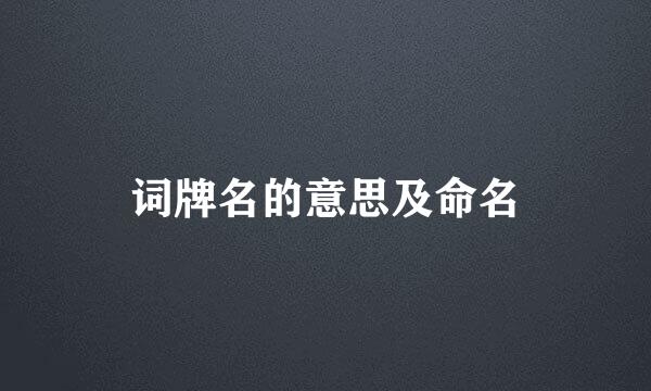词牌名的意思及命名