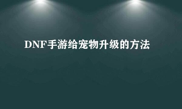 DNF手游给宠物升级的方法