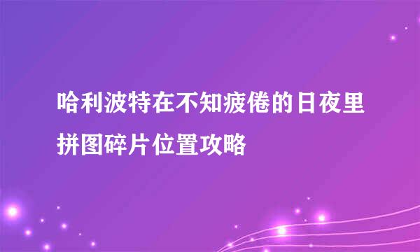 哈利波特在不知疲倦的日夜里拼图碎片位置攻略
