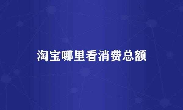 淘宝哪里看消费总额