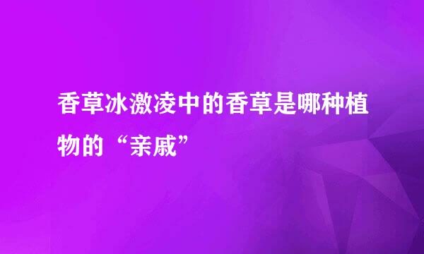 香草冰激凌中的香草是哪种植物的“亲戚”