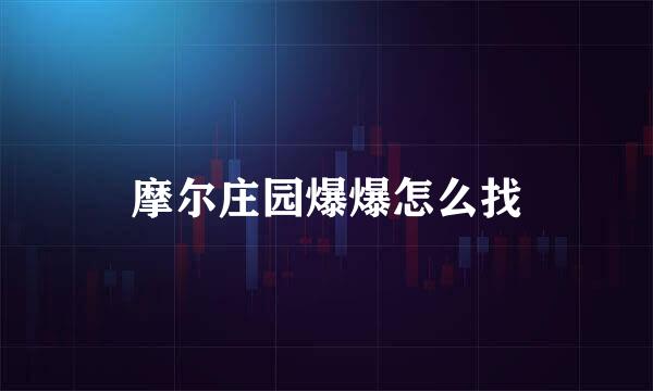 摩尔庄园爆爆怎么找