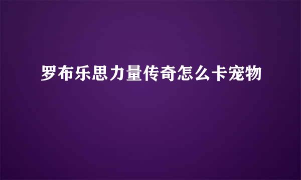 罗布乐思力量传奇怎么卡宠物