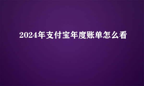 2024年支付宝年度账单怎么看