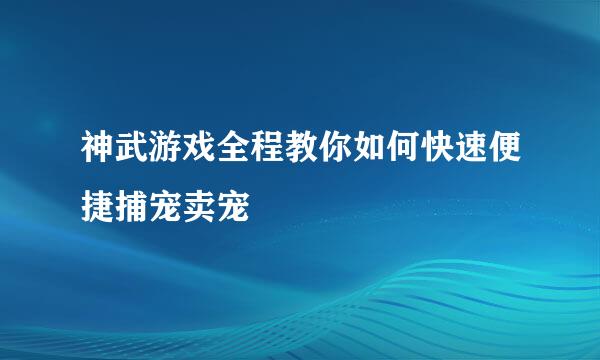 神武游戏全程教你如何快速便捷捕宠卖宠