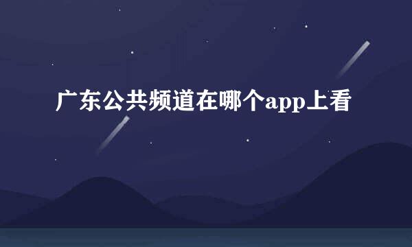 广东公共频道在哪个app上看