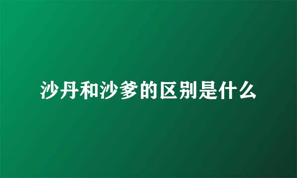 沙丹和沙爹的区别是什么