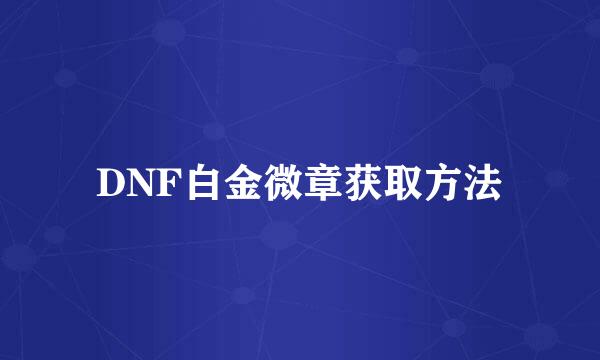 DNF白金微章获取方法