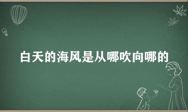 白天的海风是从哪吹向哪的