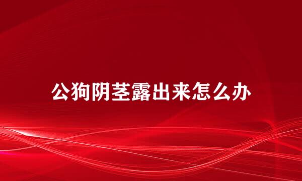 公狗阴茎露出来怎么办