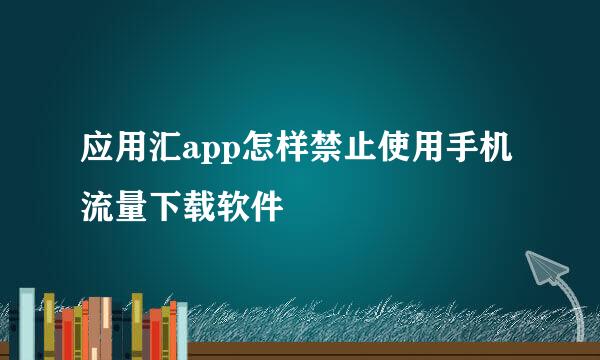 应用汇app怎样禁止使用手机流量下载软件