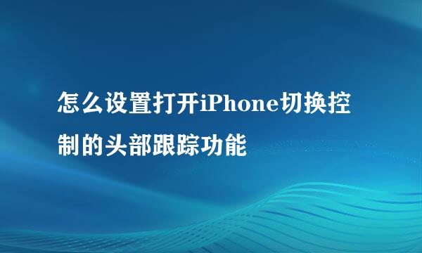 怎么设置打开iPhone切换控制的头部跟踪功能